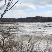 весна.ледоход :: ИННА ПОРОХОВА