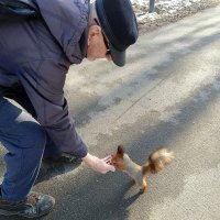Встреча с белкой :: Мария Васильева