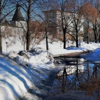 Оживает задремавшая природа. :: Татьяна Помогалова