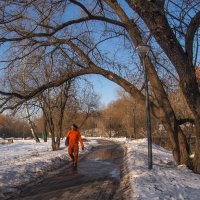 Прогулки в Весеннем Парке :: юрий поляков