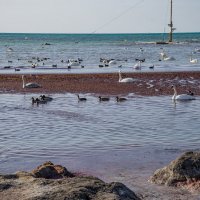 Каспий :: Анатолий Чикчирный Каспий :: Анатолий Чикчирный