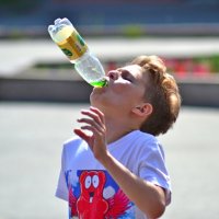 Спор выигран. :: Михаил Курзанцев