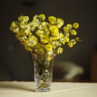 Весенний букет :: Ирэн 