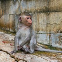 *** :: Николай Чекалин