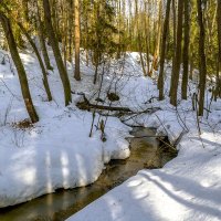 Мартовский ручей :: Сергей Цветков