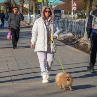 Вечерний променад с собачкой. :: Анатолий. Chesnavik.