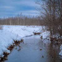 Недавнее вчера :: Олег Дорошенко