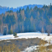 весенние проталины :: леонид логинов