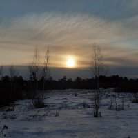 Март 2026 :: Галина Минчук Март 2026 :: Галина Минчук