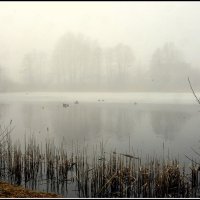 *** :: Aleksandr Gal