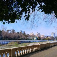 р.Сочи :: Tata Wolf