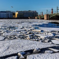 Четыре вороны и чайка :: Eugene *