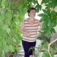 работа с цветочками :: Наталья Штанулина