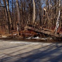 Наступление  весны :: Иван Миронов