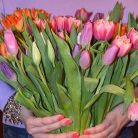 «Человек расцветает с тем, кто его понимает» :: Таня Фиалка «Человек расцветает с тем, кто его понимает» :: Таня Фиалка