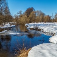 Вешние воды :: Андрей Дворников
