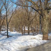 Весенняя Картинка :: юрий поляков