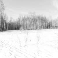 Мечты о ч/б Лейке 63. :: Михаил Елочкин