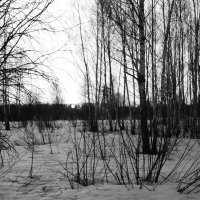 Мечты о ч/б Лейке 64. :: Михаил Елочкин