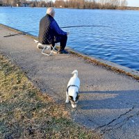 Весенняя рыбалка. :: Лия ☼ Весенняя рыбалка. :: Лия ☼