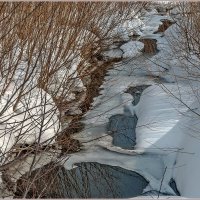 Про проталины... :: Aquarius - Сергей