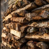 Поленница дров в вечернем солнце :: Лилия 