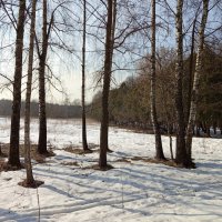 Март в Измайловском парке :: Андрей Лукьянов