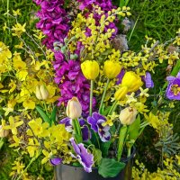 Весеннее настроение :: Валерий Иванович