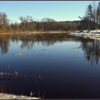 *** :: Aleksandr Gal