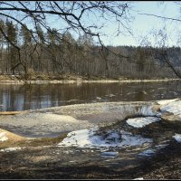 *** :: Aleksandr Gal