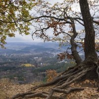 Кисловодский парк :: Марина 