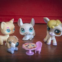 Посоветуемся :: Владимир Кроливец