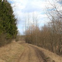 Вечне - дорогу! :: Наталья Лунева 