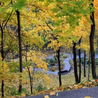 Осень в парке. :: Сергей Рожков