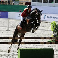 Конкур :: Владимир59 