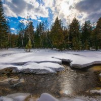 Весеннее настроение :: Vladimbormotov 