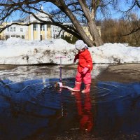 Весеннее настроение. :: Николай Кондаков