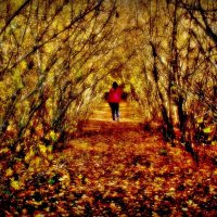 - :: Aндрей Антонов