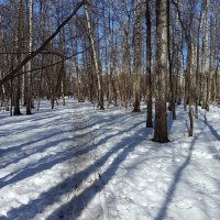 Март, которого жду целый год :: Андрей Лукьянов