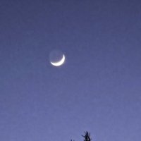 Растущая луна :: Людмила Смородинская