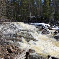 Весенний поток :: Ольга 