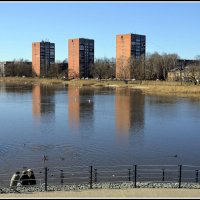 *** :: Aleksandr Gal