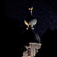 ПИТЕР. :: Виктор Осипчук