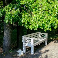 Вечер :: Александр Силинский