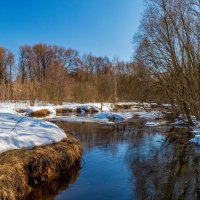 Вешние Воды 3 :: Андрей Дворников