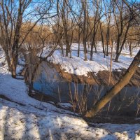 Весенние :: юрий поляков