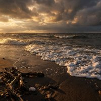 Волна на закате :: Лилия 