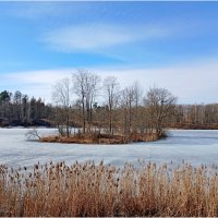 Озеро "Чёрное" :: Лия ☼