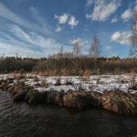 ранняя весна :: сергей 