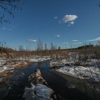 лёд оторвался от берега :: сергей 